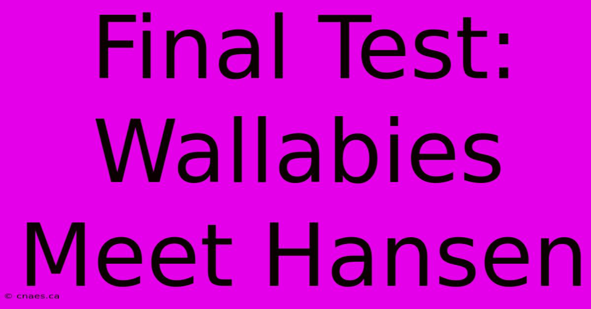 Final Test: Wallabies Meet Hansen