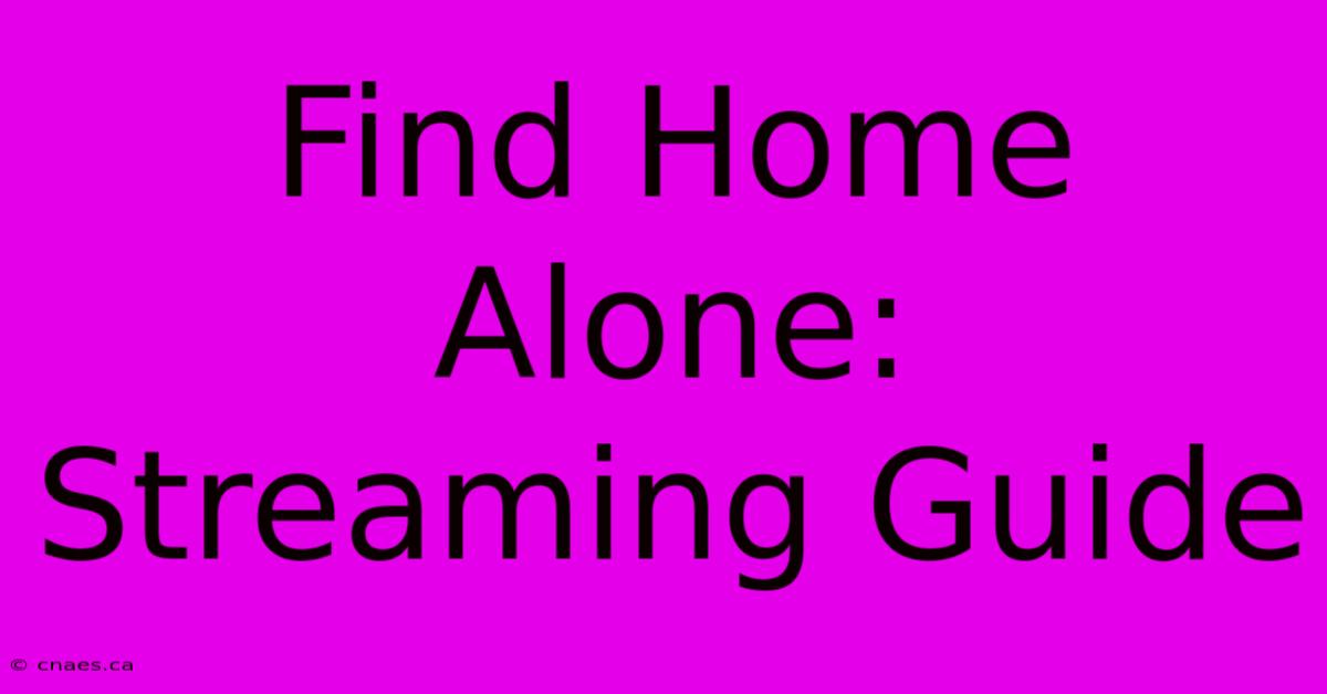 Find Home Alone: Streaming Guide