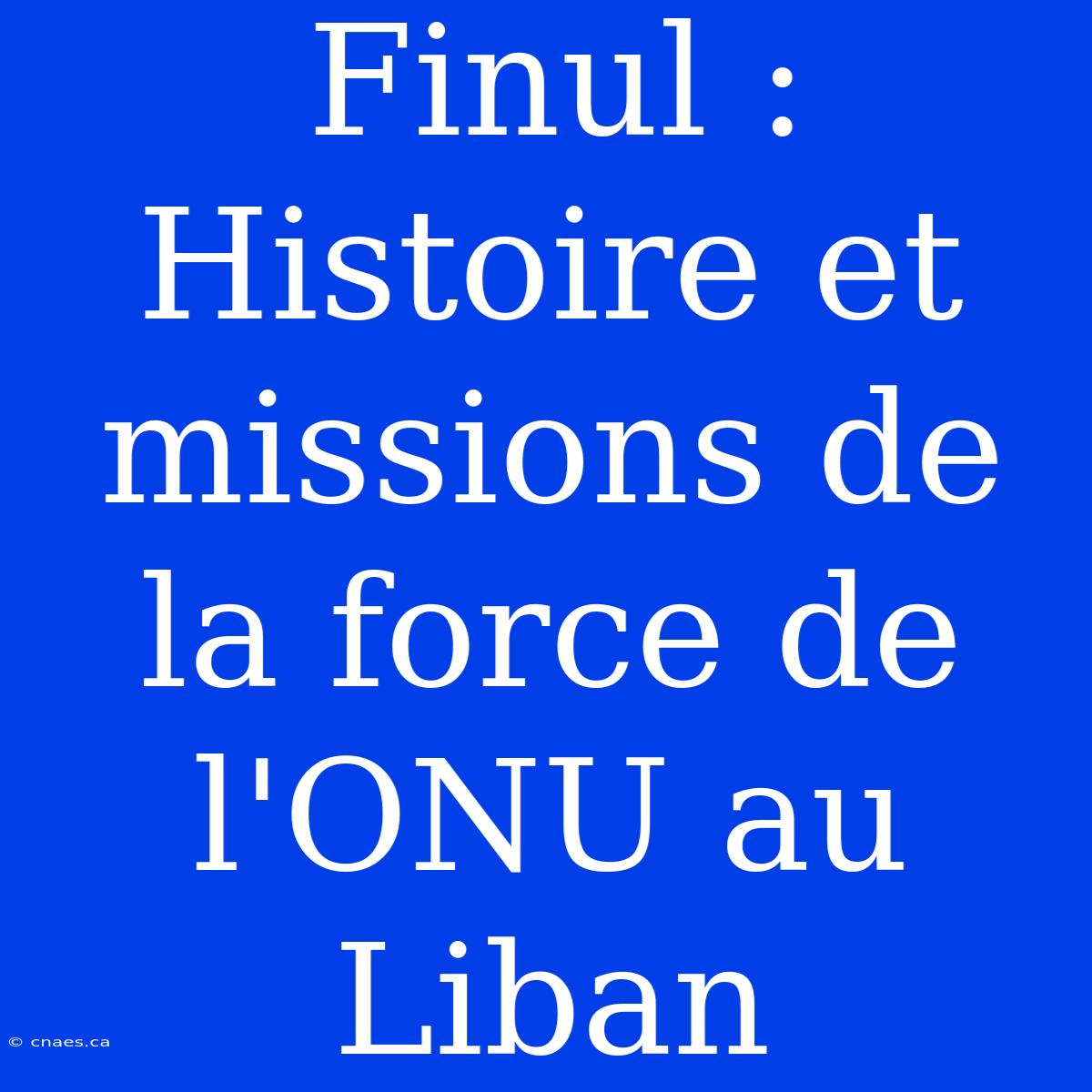 Finul : Histoire Et Missions De La Force De L'ONU Au Liban