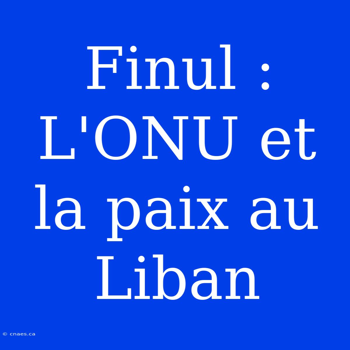 Finul :  L'ONU Et La Paix Au Liban