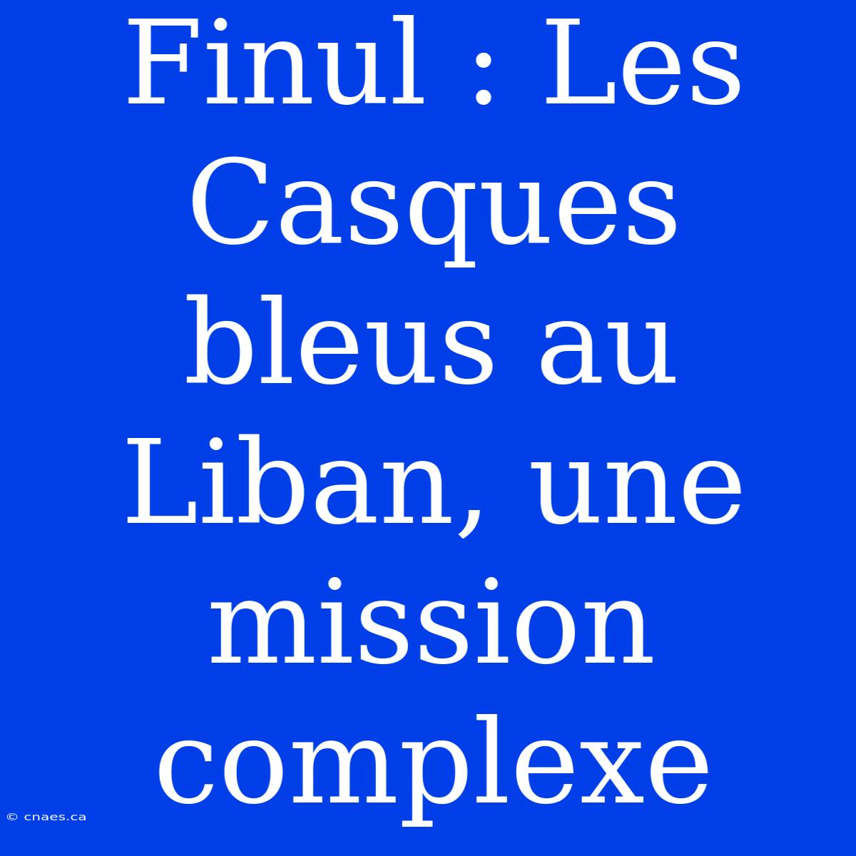 Finul : Les Casques Bleus Au Liban, Une Mission Complexe