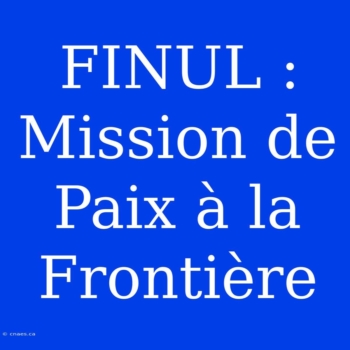 FINUL : Mission De Paix À La Frontière