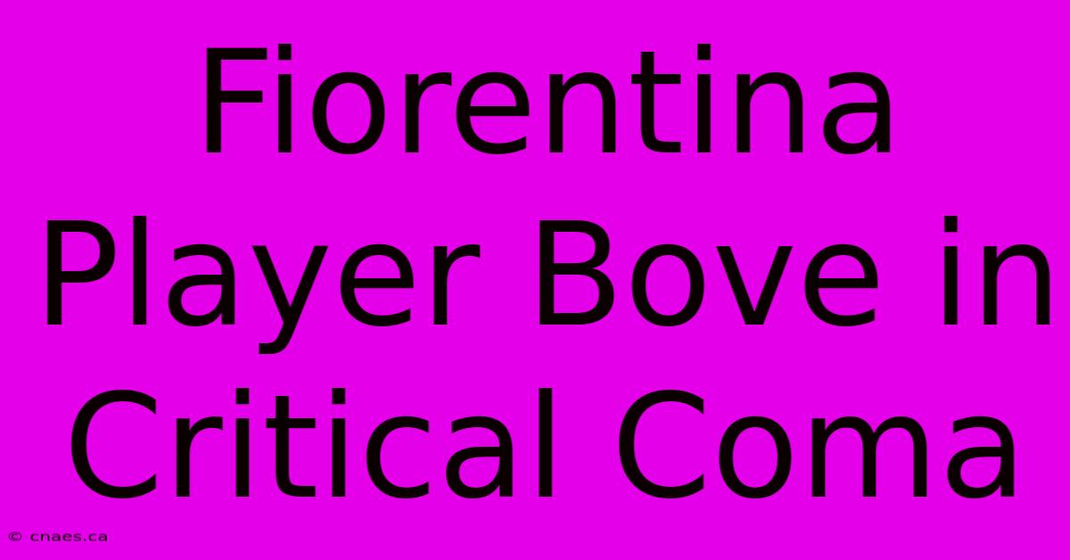 Fiorentina Player Bove In Critical Coma