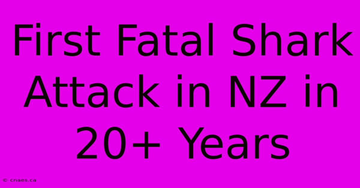 First Fatal Shark Attack In NZ In 20+ Years