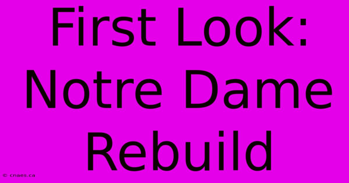 First Look: Notre Dame Rebuild