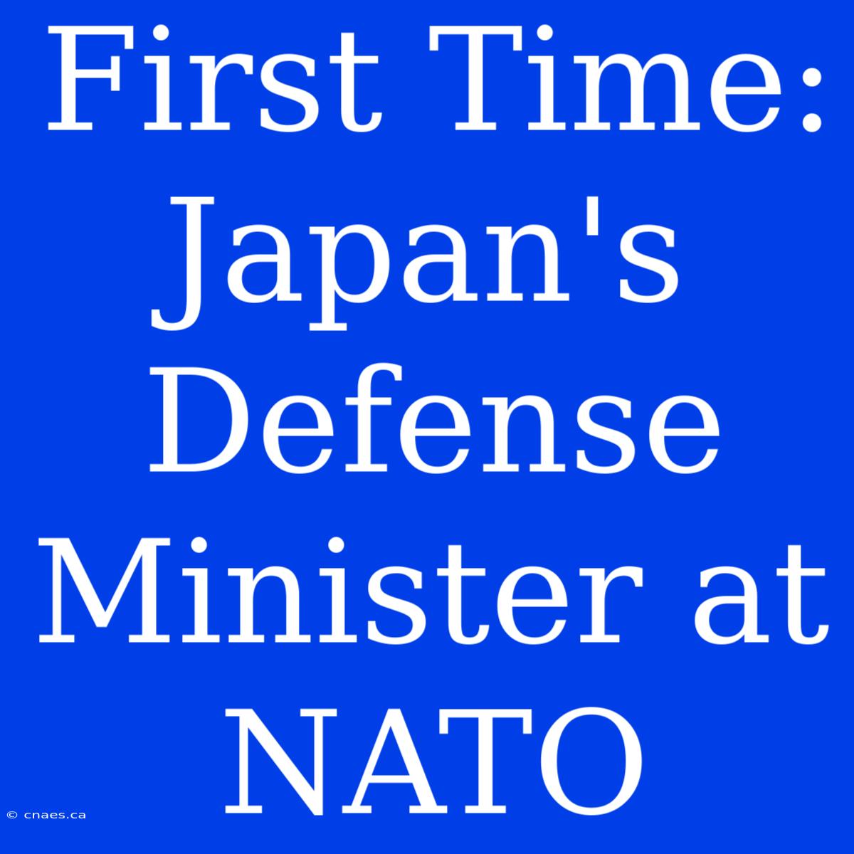 First Time: Japan's Defense Minister At NATO