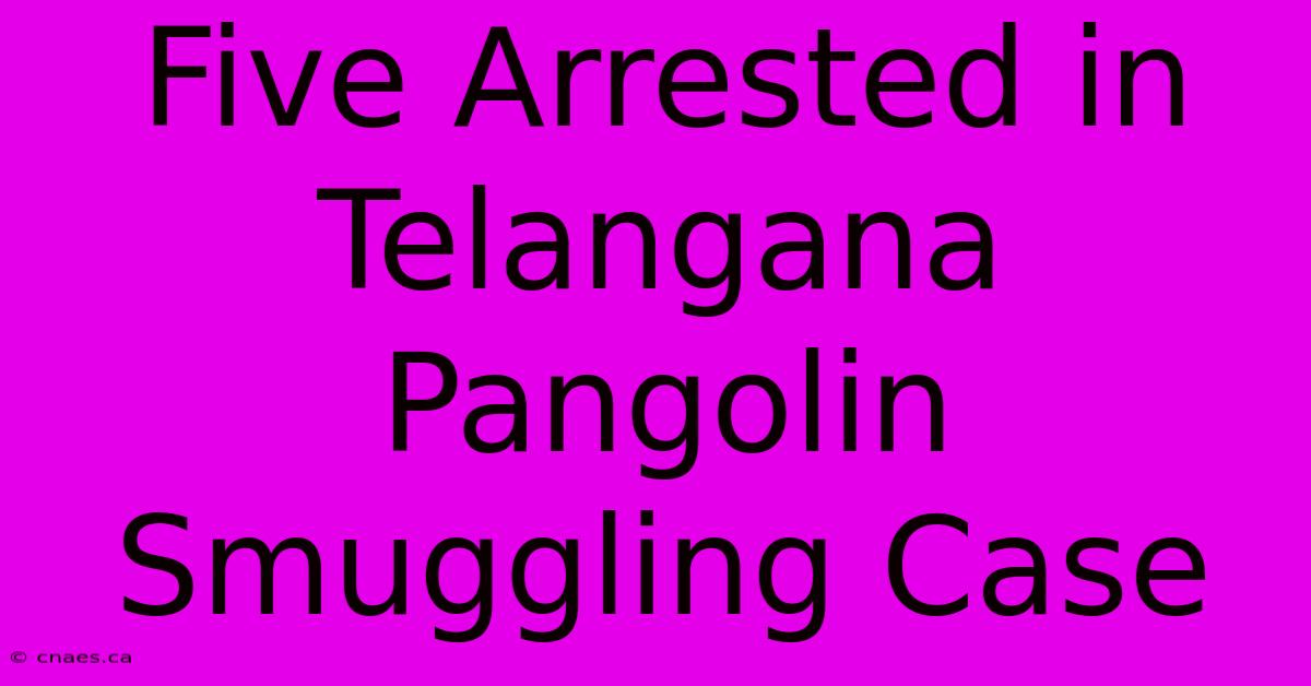 Five Arrested In Telangana Pangolin Smuggling Case