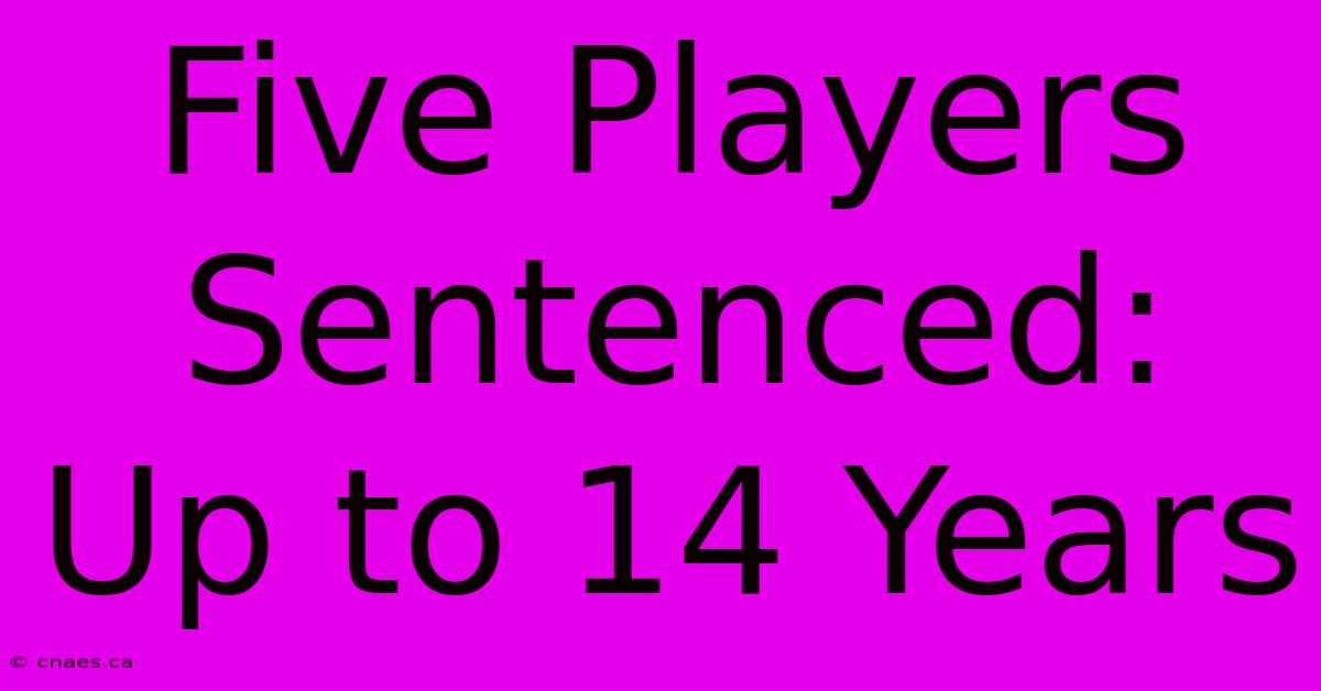 Five Players Sentenced: Up To 14 Years