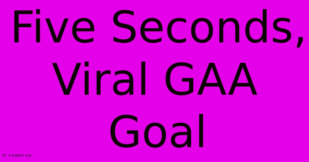 Five Seconds, Viral GAA Goal