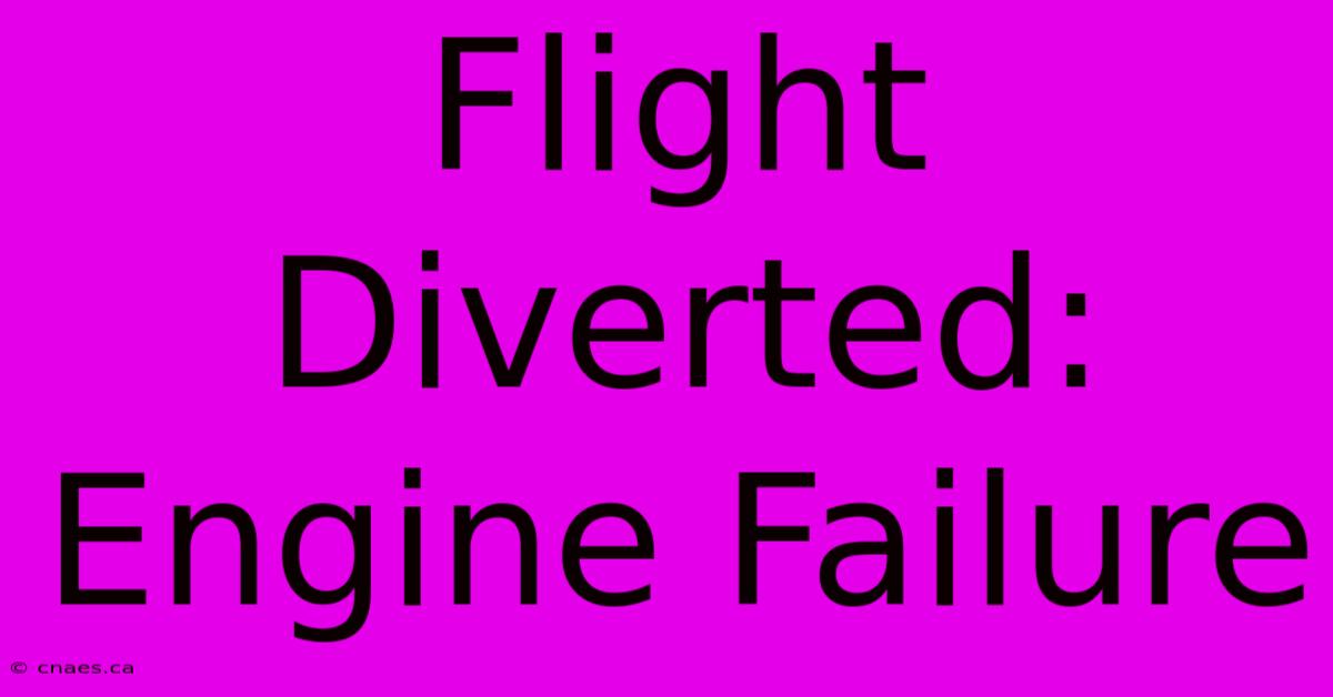 Flight Diverted: Engine Failure