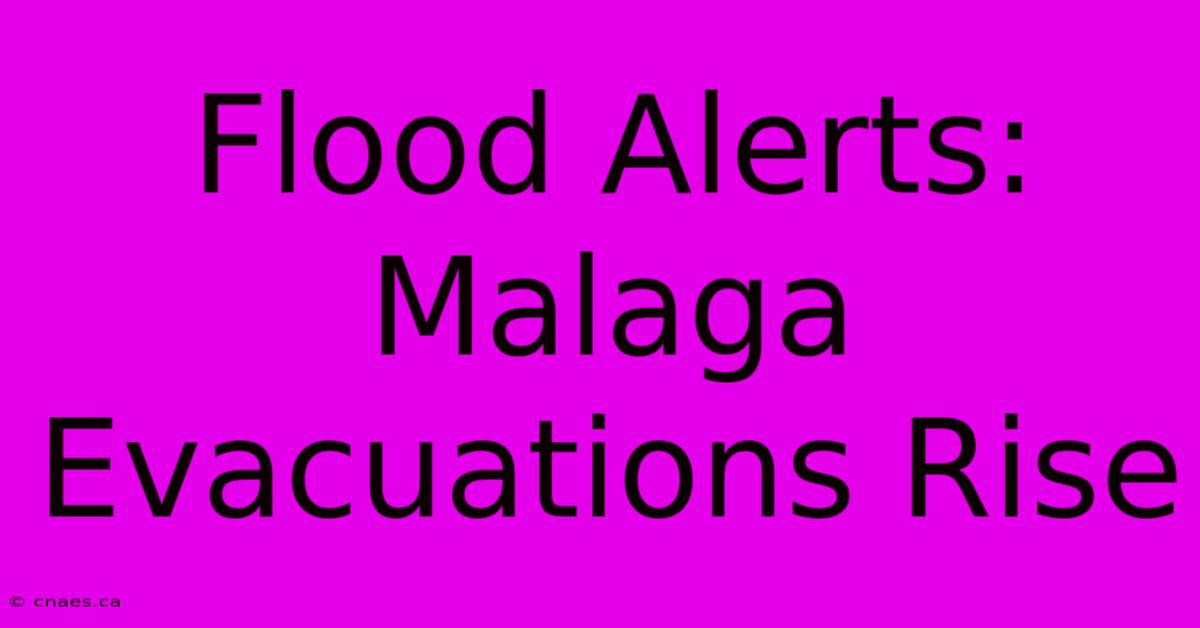 Flood Alerts: Malaga Evacuations Rise 