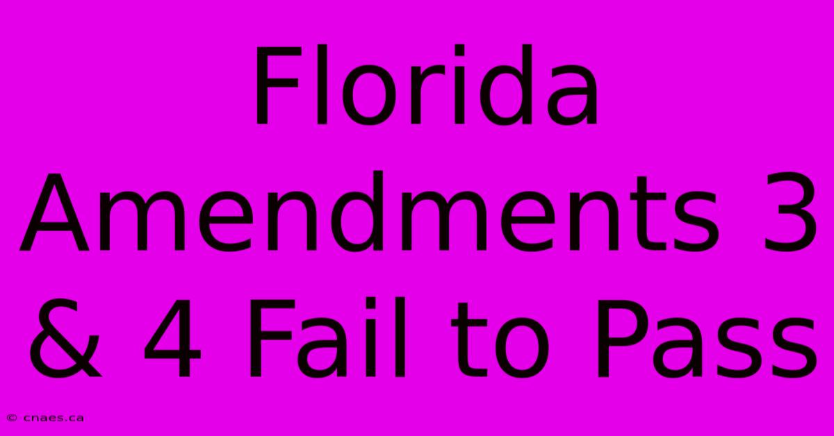 Florida Amendments 3 & 4 Fail To Pass