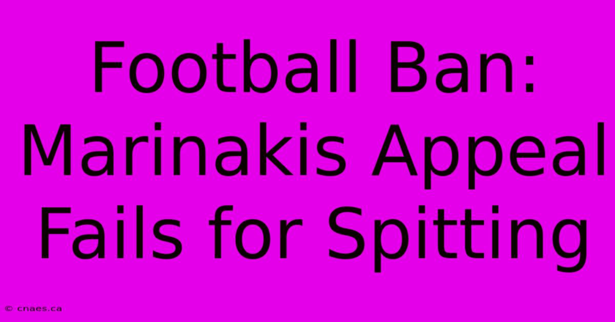 Football Ban: Marinakis Appeal Fails For Spitting