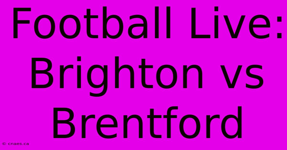 Football Live: Brighton Vs Brentford