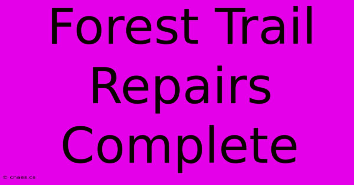 Forest Trail Repairs Complete