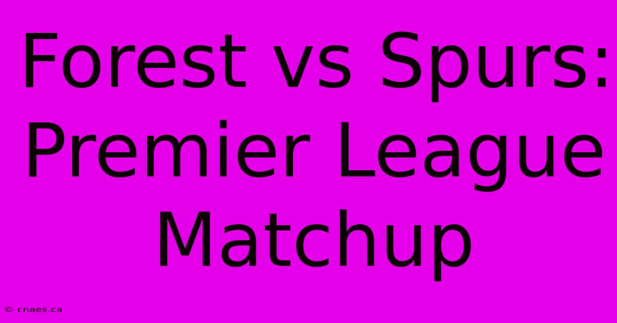 Forest Vs Spurs: Premier League Matchup