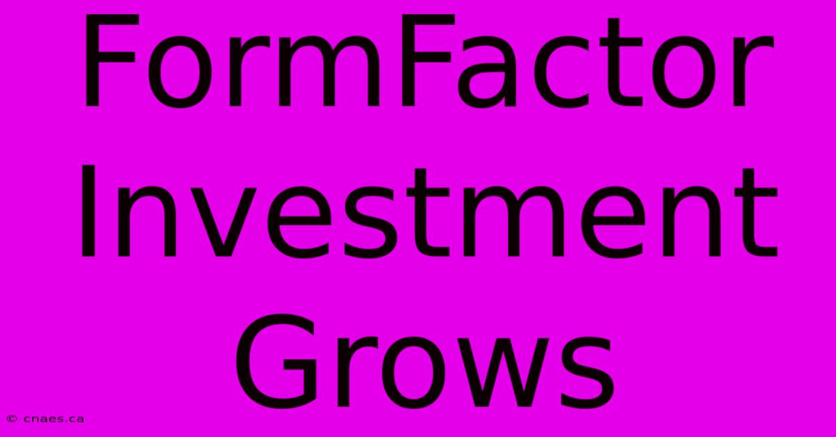 FormFactor Investment Grows