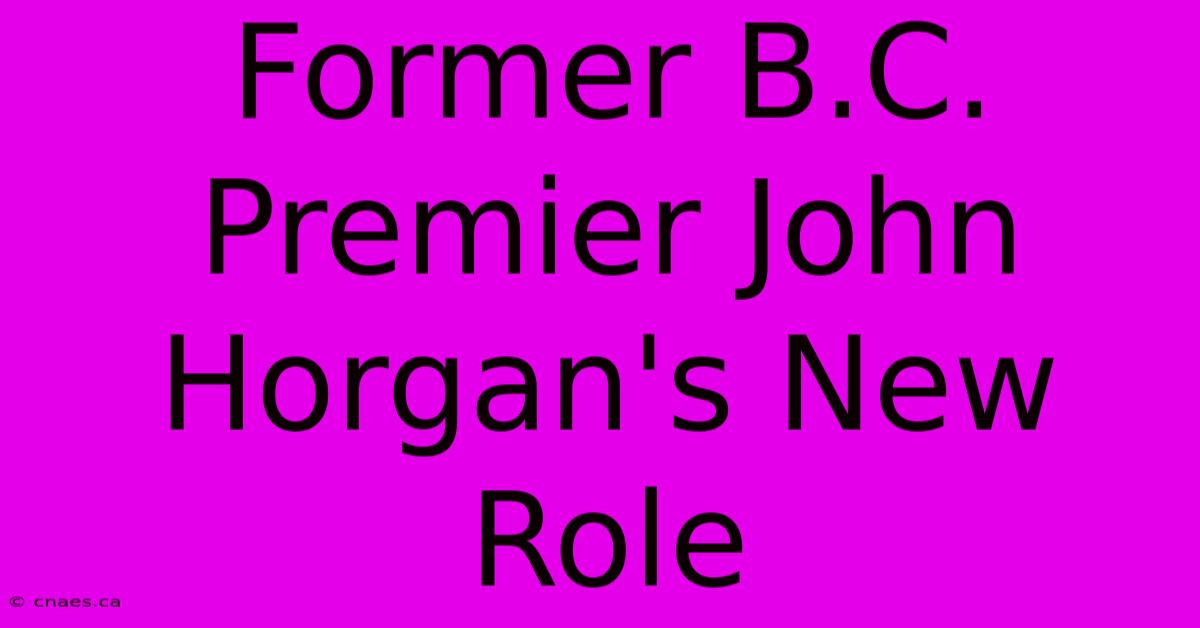 Former B.C. Premier John Horgan's New Role