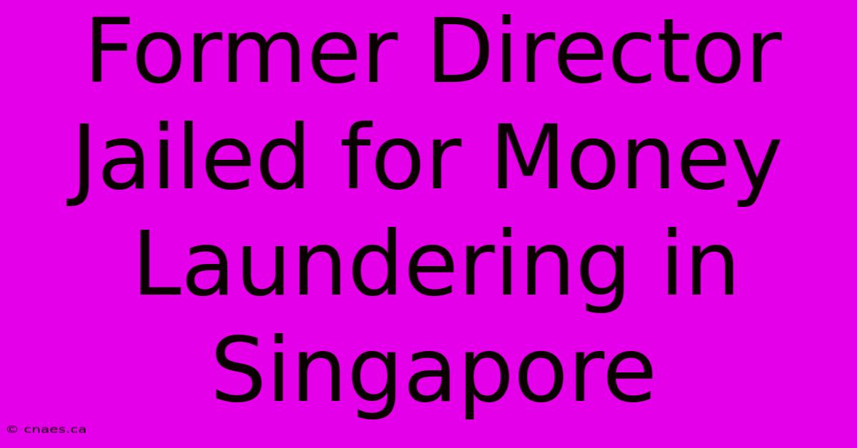 Former Director Jailed For Money Laundering In Singapore