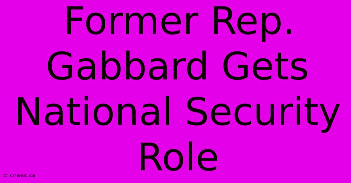 Former Rep. Gabbard Gets National Security Role