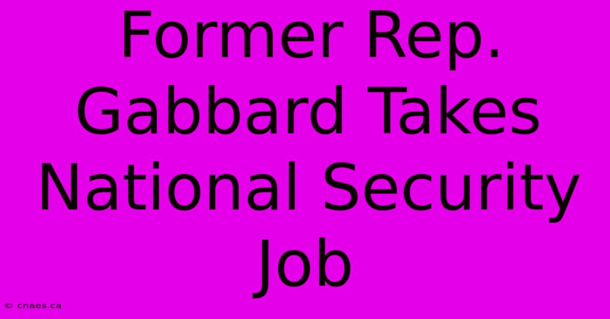 Former Rep. Gabbard Takes National Security Job