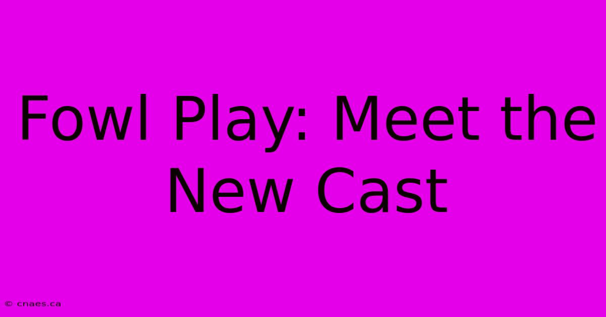 Fowl Play: Meet The New Cast