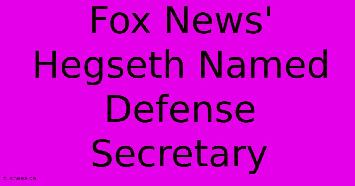 Fox News' Hegseth Named Defense Secretary