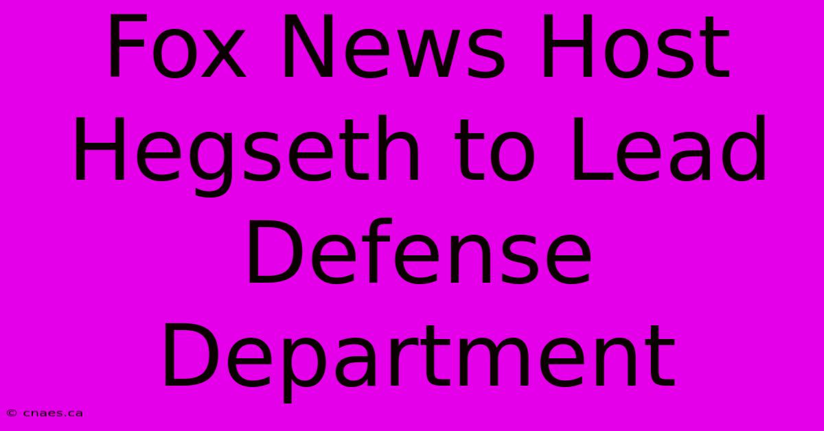 Fox News Host Hegseth To Lead Defense Department