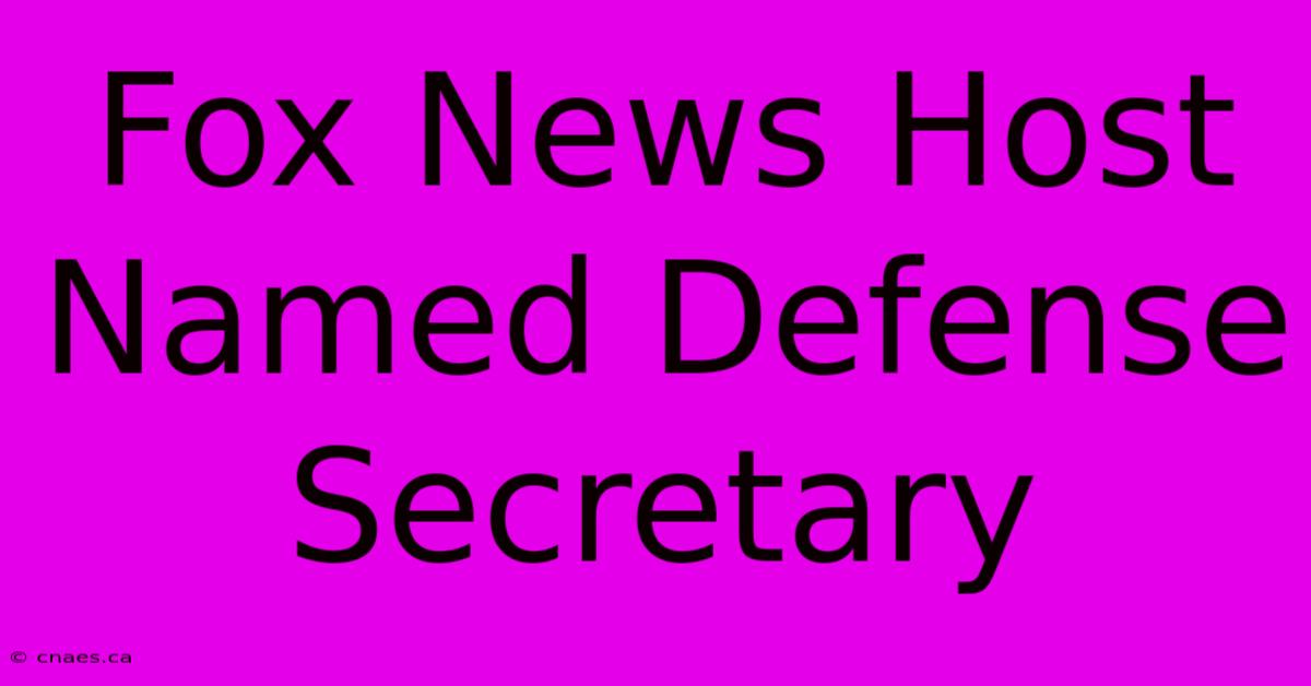 Fox News Host Named Defense Secretary