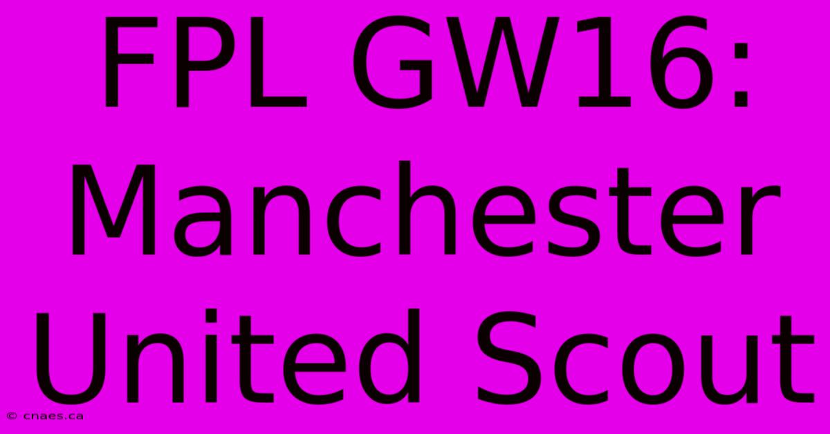 FPL GW16: Manchester United Scout