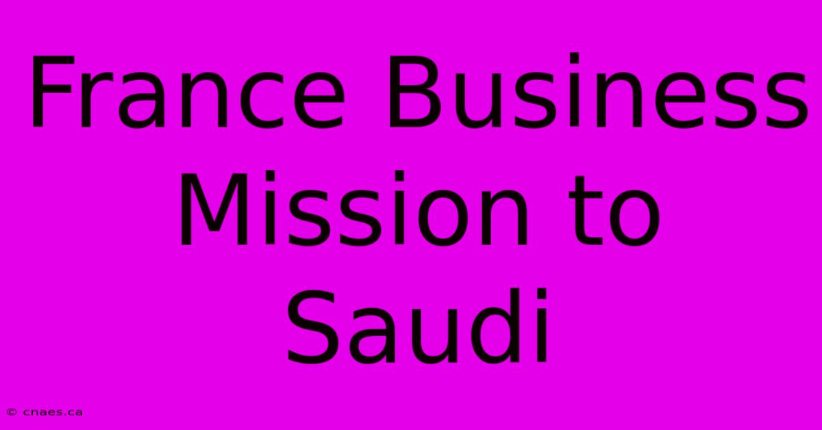 France Business Mission To Saudi