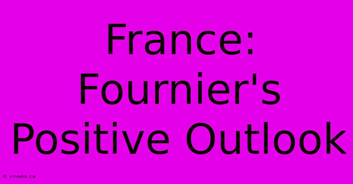 France: Fournier's Positive Outlook