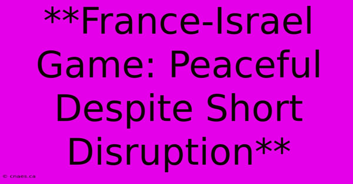 **France-Israel Game: Peaceful Despite Short Disruption**