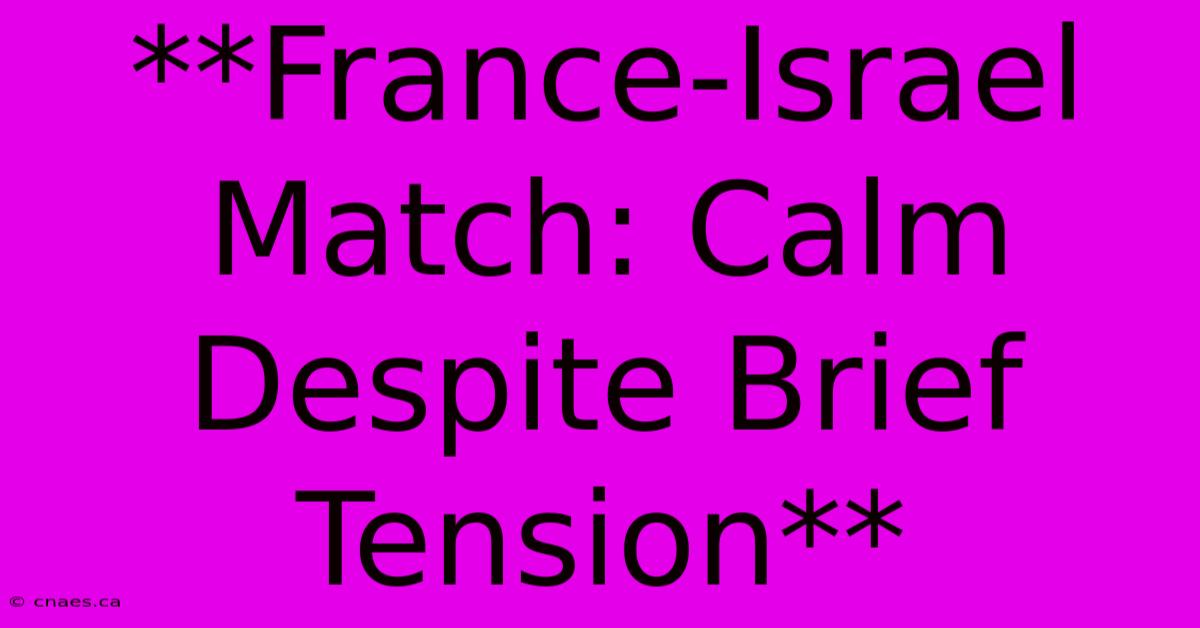 **France-Israel Match: Calm Despite Brief Tension** 