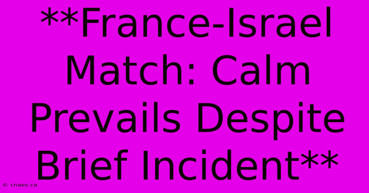 **France-Israel Match: Calm Prevails Despite Brief Incident**