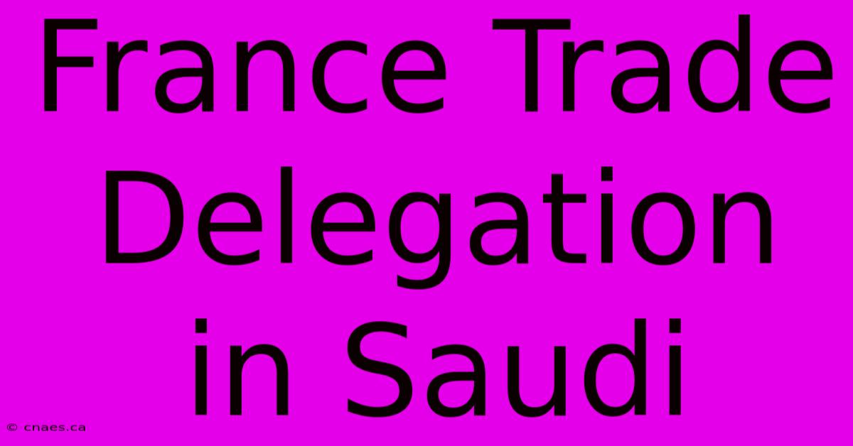 France Trade Delegation In Saudi