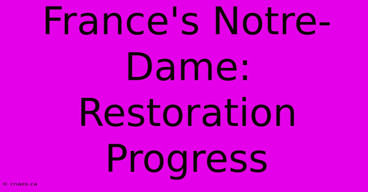 France's Notre-Dame: Restoration Progress