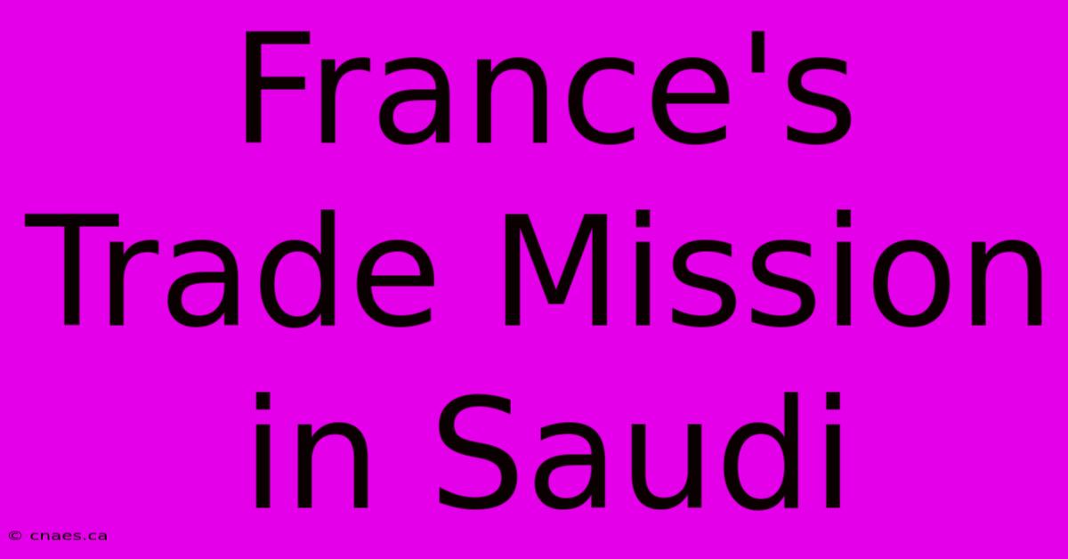 France's Trade Mission In Saudi