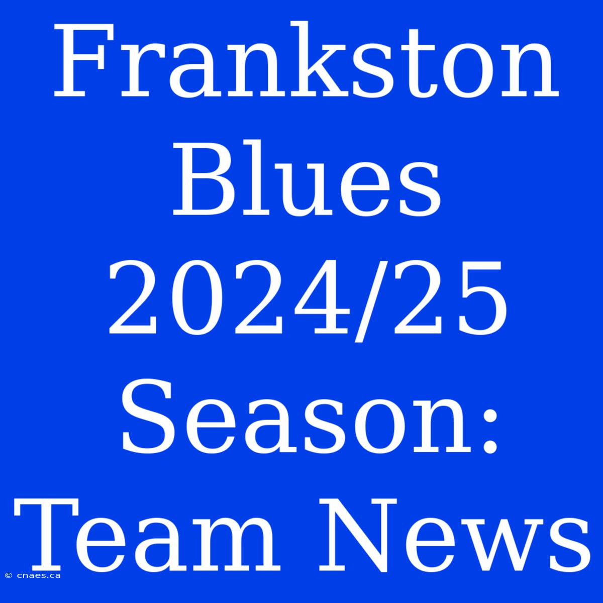 Frankston Blues 2024/25 Season: Team News