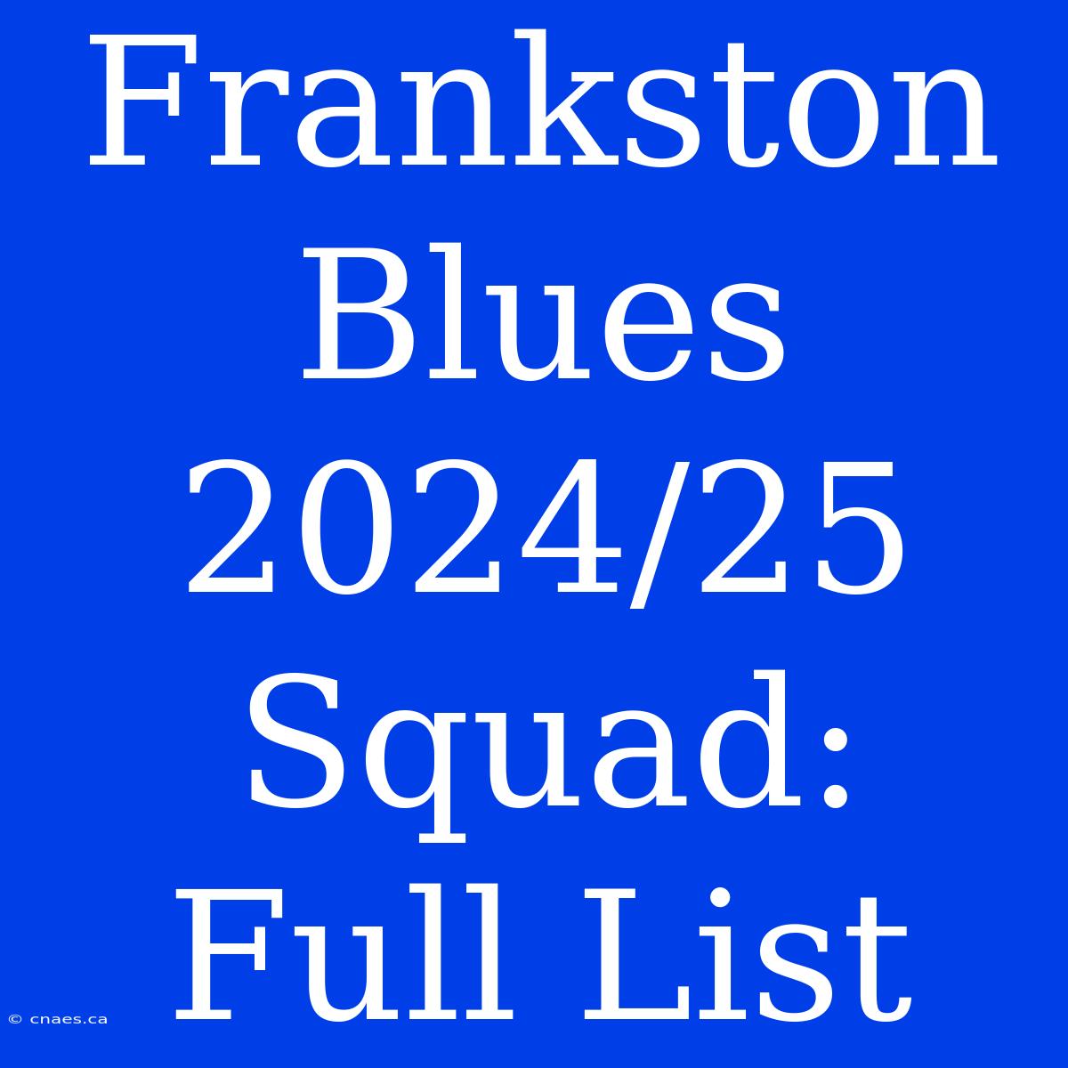 Frankston Blues 2024/25 Squad: Full List