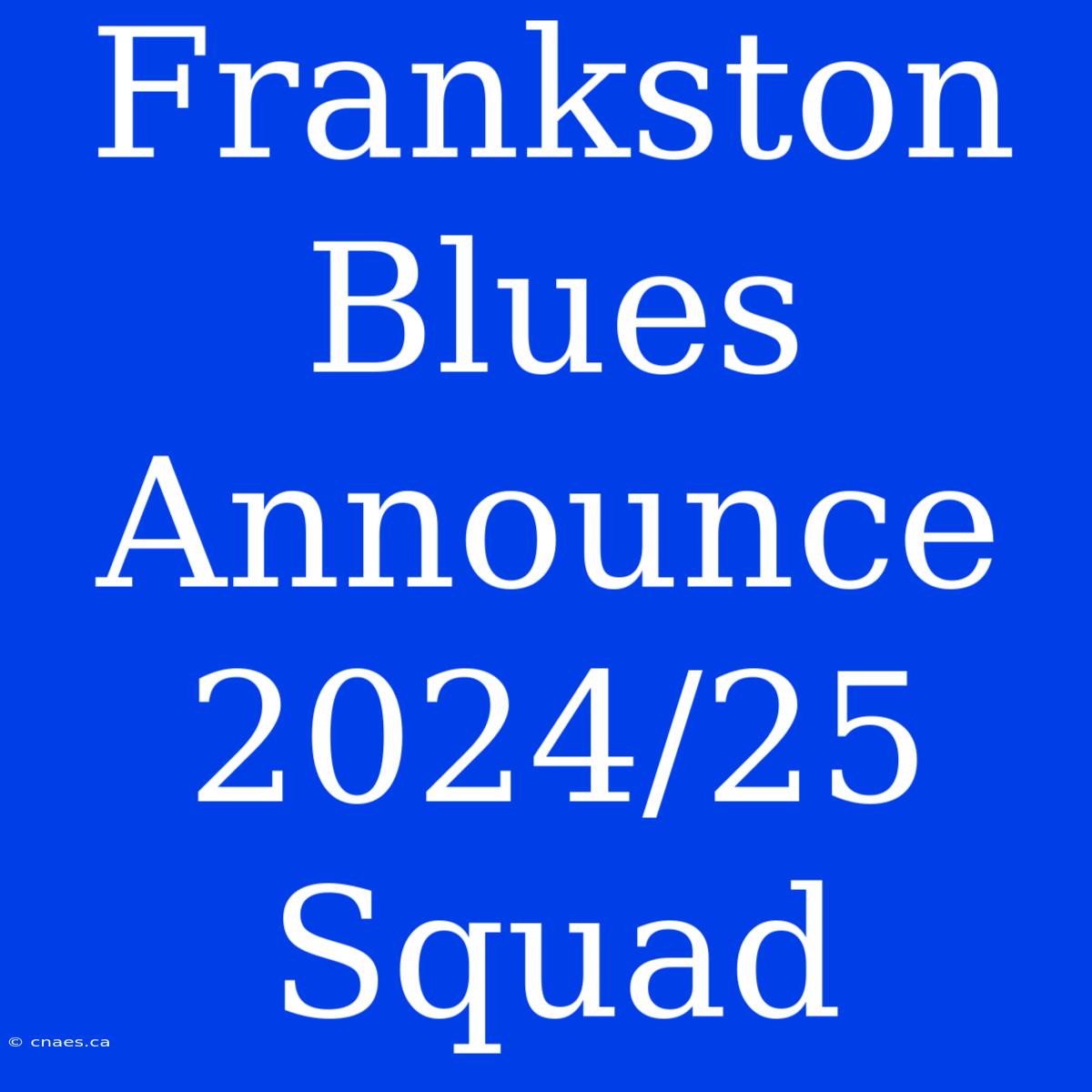 Frankston Blues Announce 2024/25 Squad