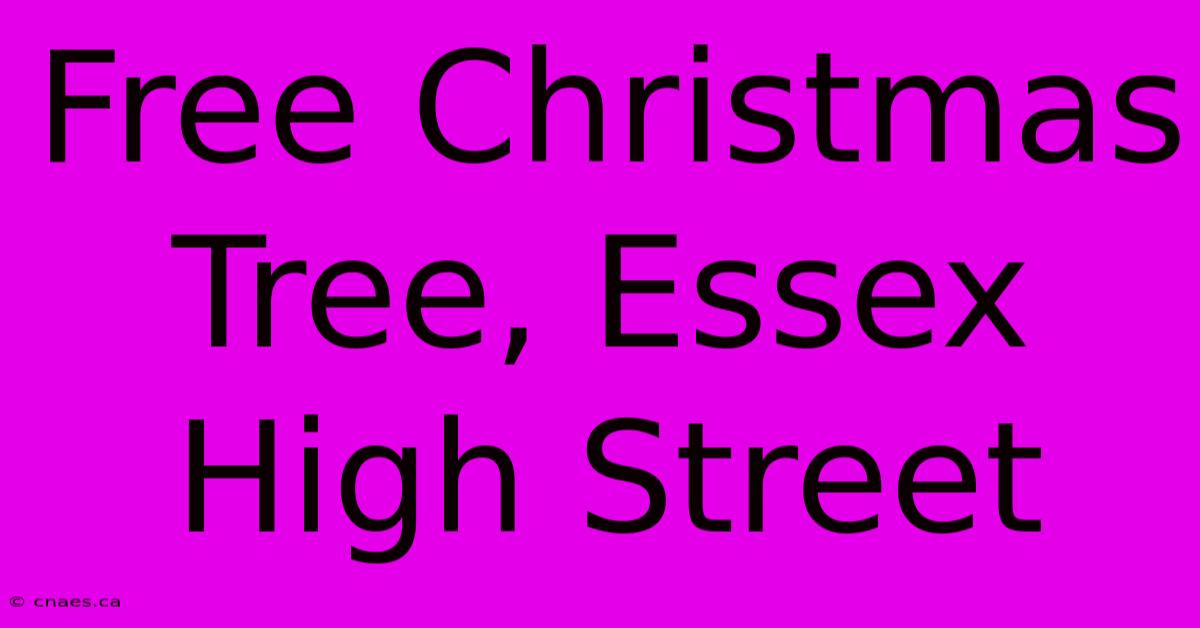 Free Christmas Tree, Essex High Street