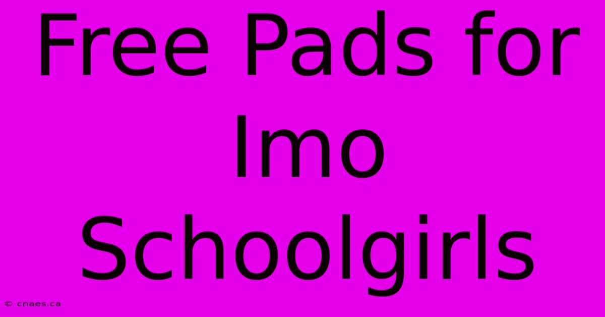 Free Pads For Imo Schoolgirls