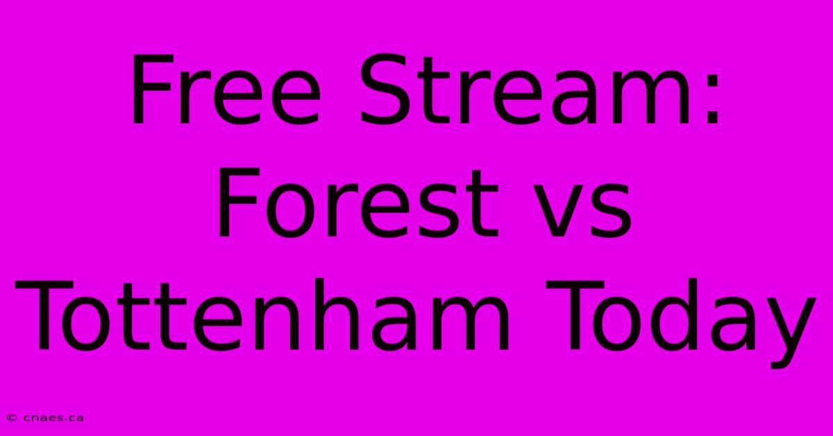 Free Stream: Forest Vs Tottenham Today