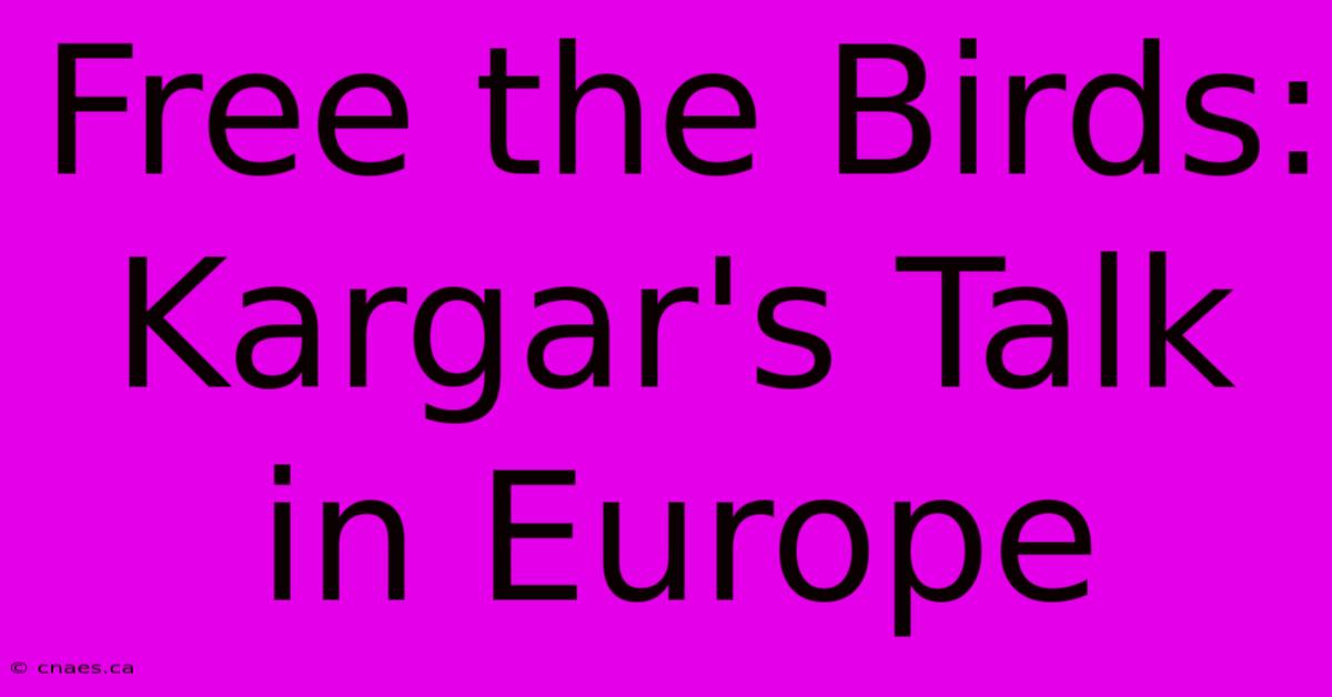 Free The Birds: Kargar's Talk In Europe