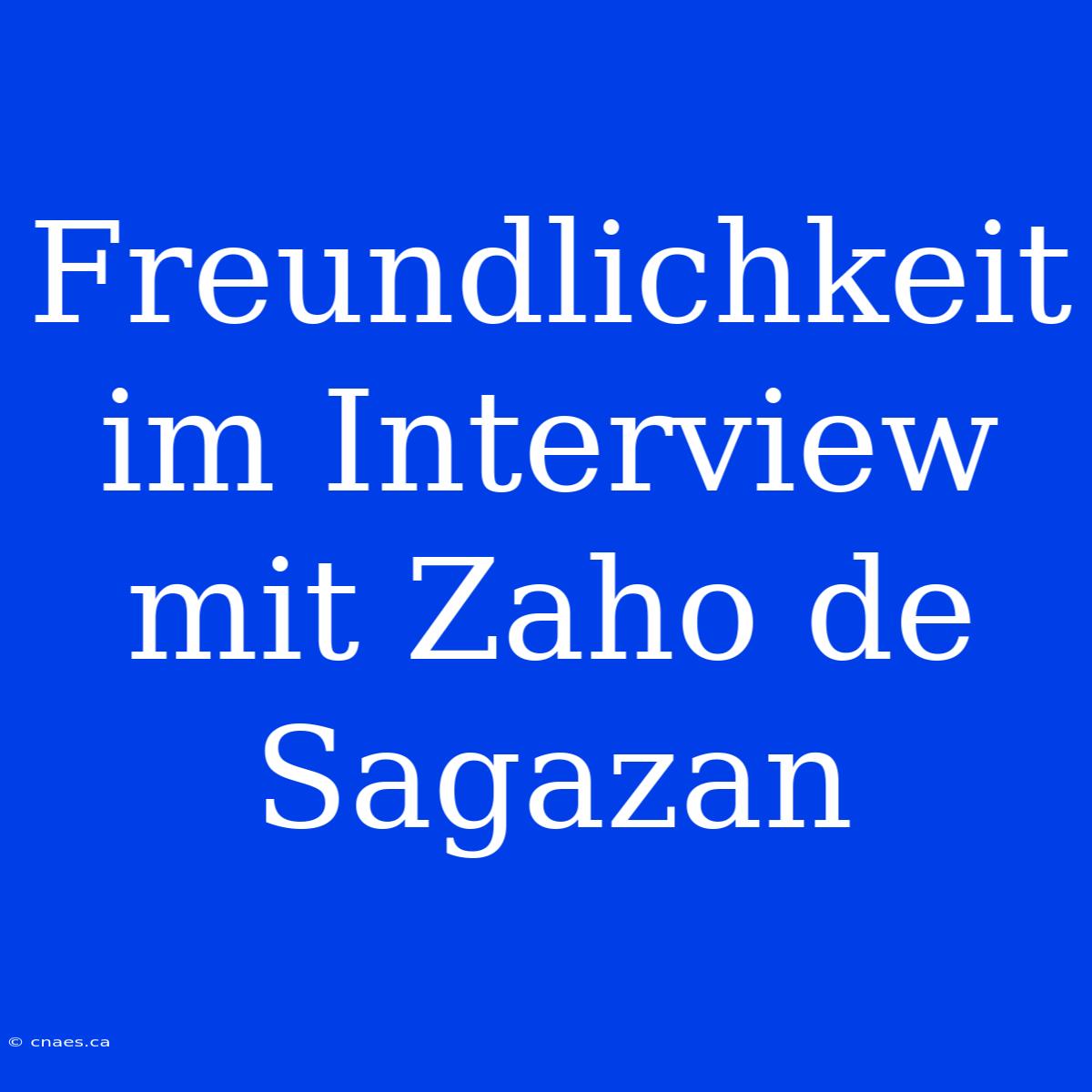 Freundlichkeit Im Interview Mit Zaho De Sagazan