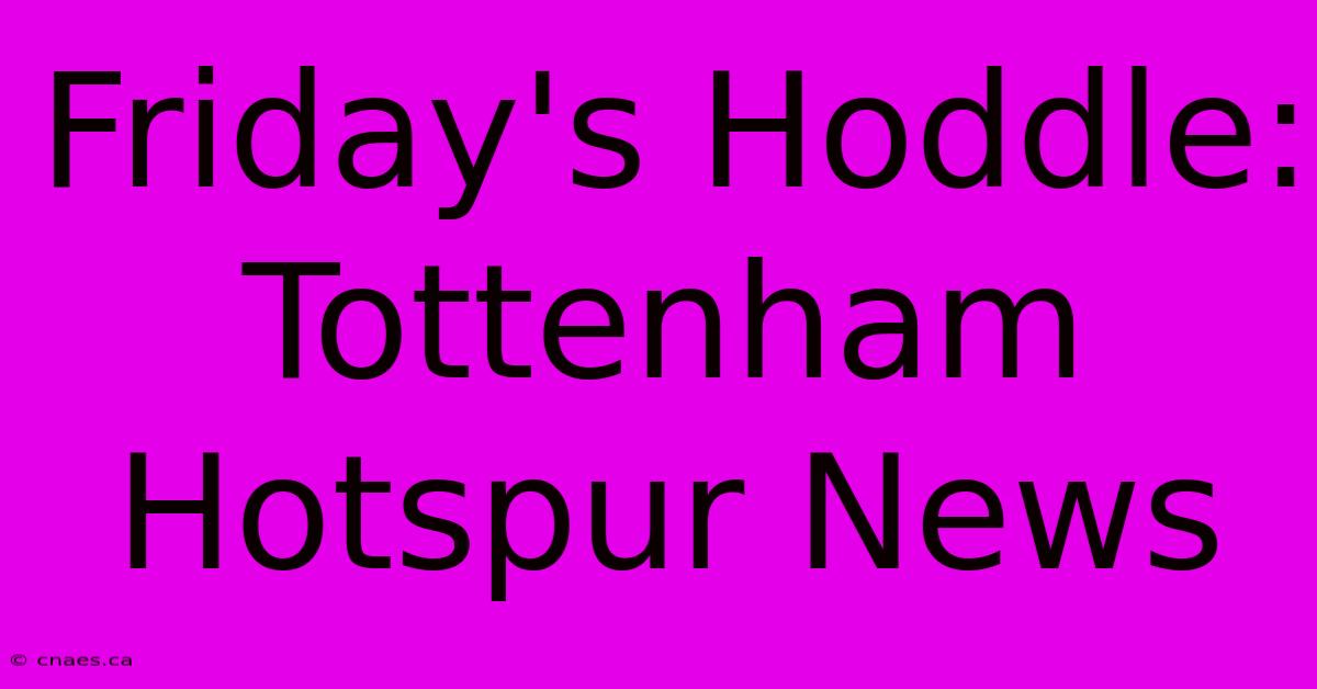 Friday's Hoddle: Tottenham Hotspur News 