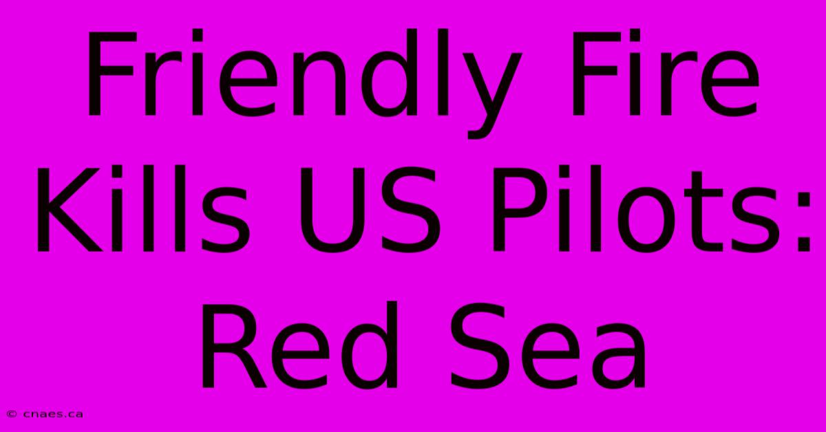 Friendly Fire Kills US Pilots: Red Sea