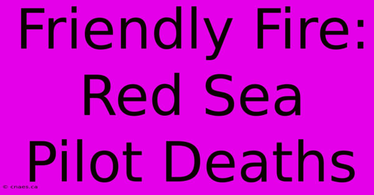 Friendly Fire: Red Sea Pilot Deaths