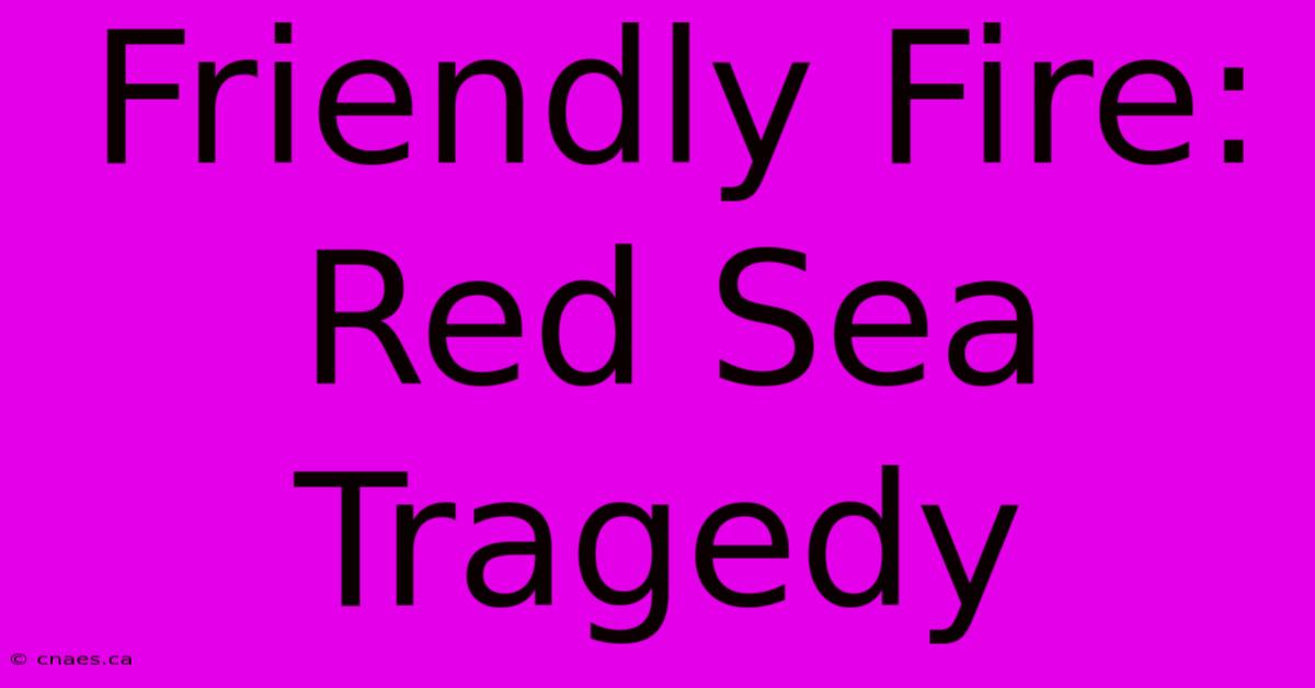 Friendly Fire: Red Sea Tragedy